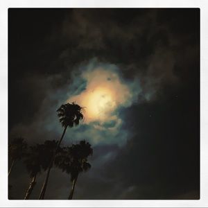 Meet your Posher, Philip